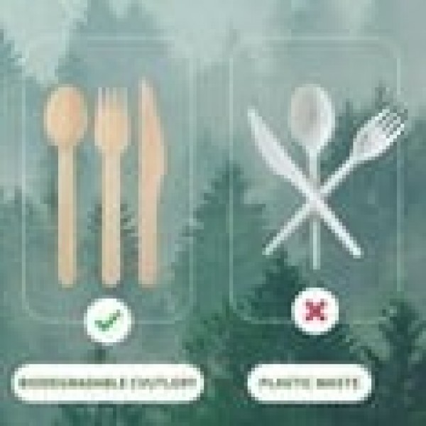 stusgo 360 Pieces Wooden Disposable Cutlery(120 Forks, 120 Spoons, 120 Knives)